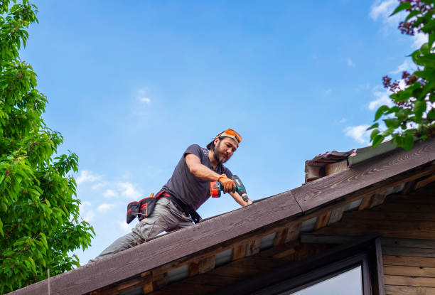 Roof Maintenance in Salmon Creek, WA