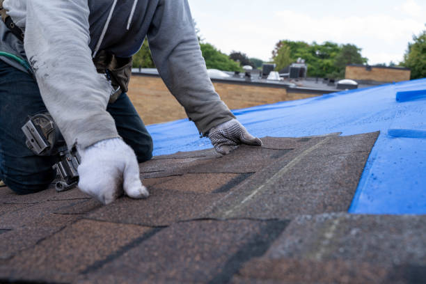 Best Roof Leak Repair  in Salmon Creek, WA